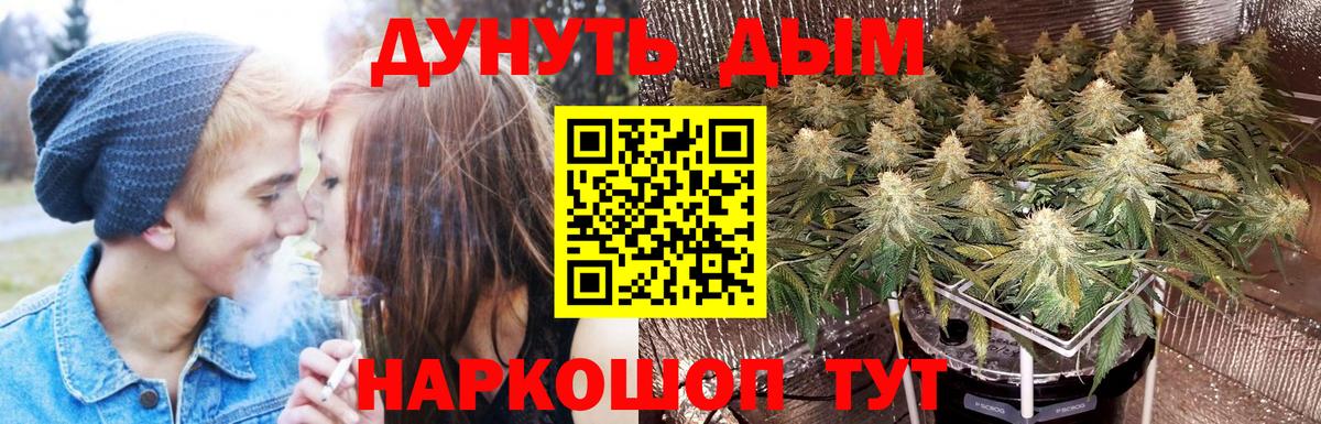 Шишки марихуана SATIVA & INDICA Вольск